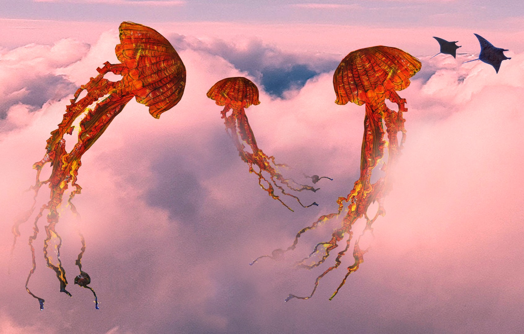 Jellyfish in the sky